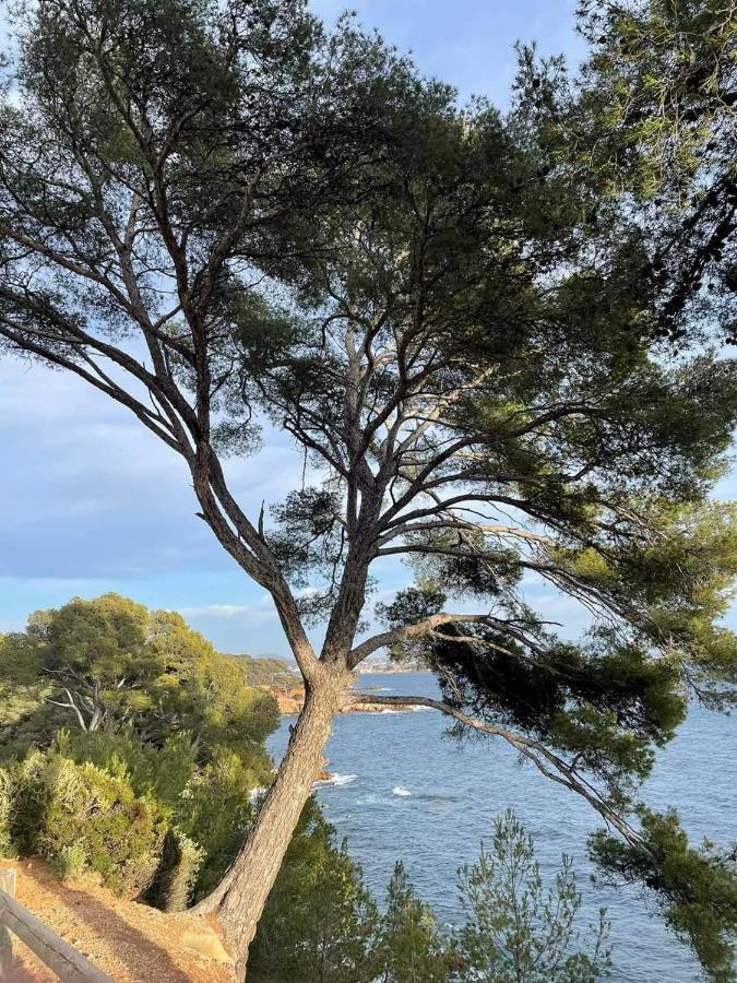 Villa Cocody Bandol Exterior photo