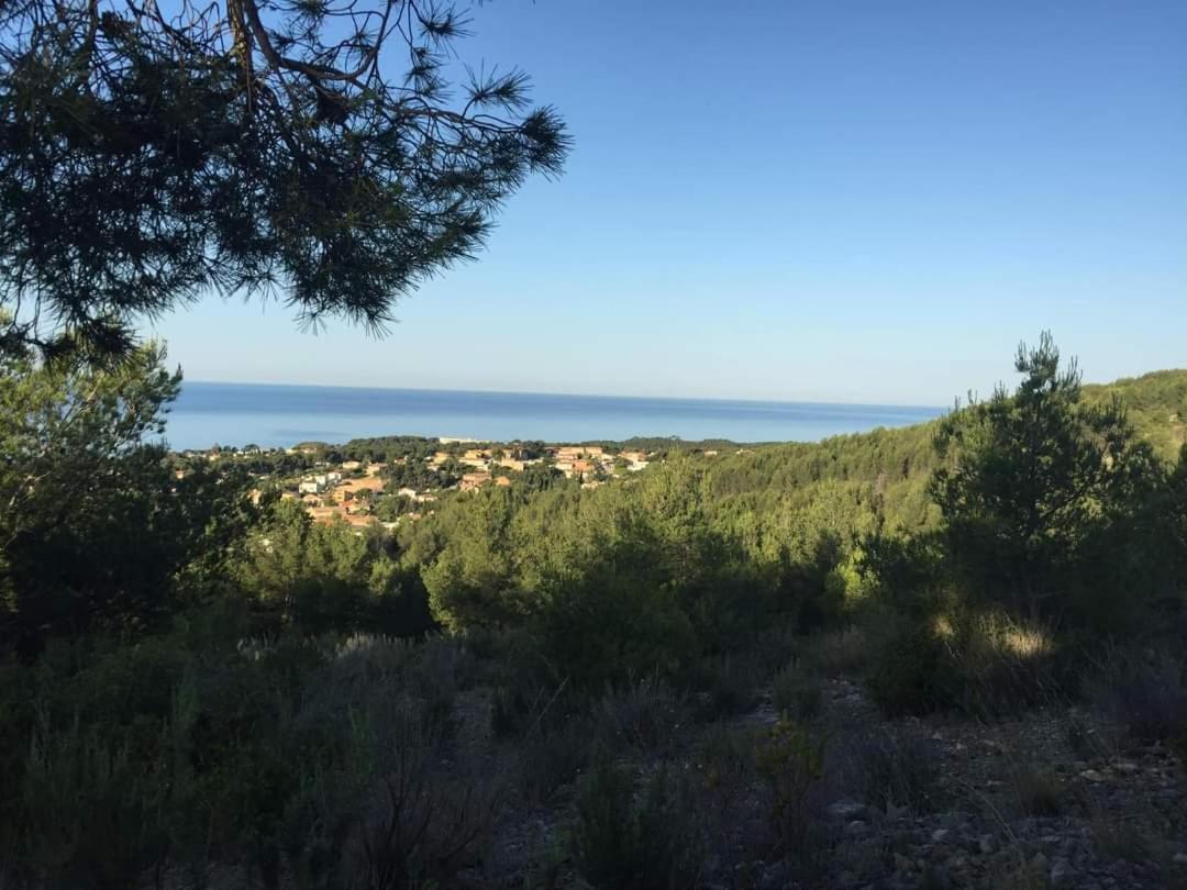 Villa Cocody Bandol Exterior photo
