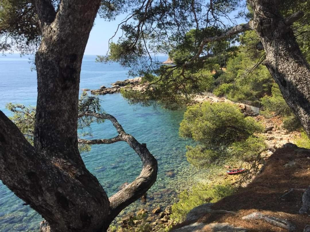 Villa Cocody Bandol Exterior photo